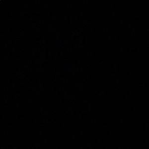 Meet your Posher, Carter